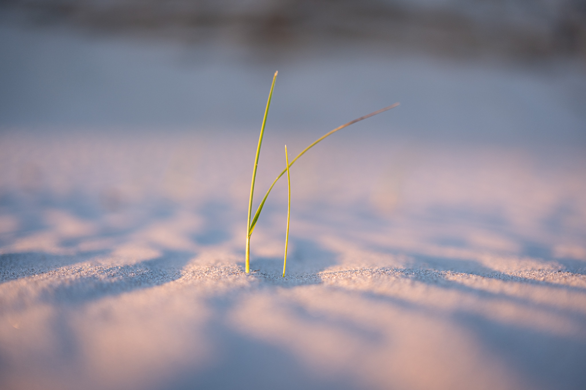 2025 05 15  xt 5   2362